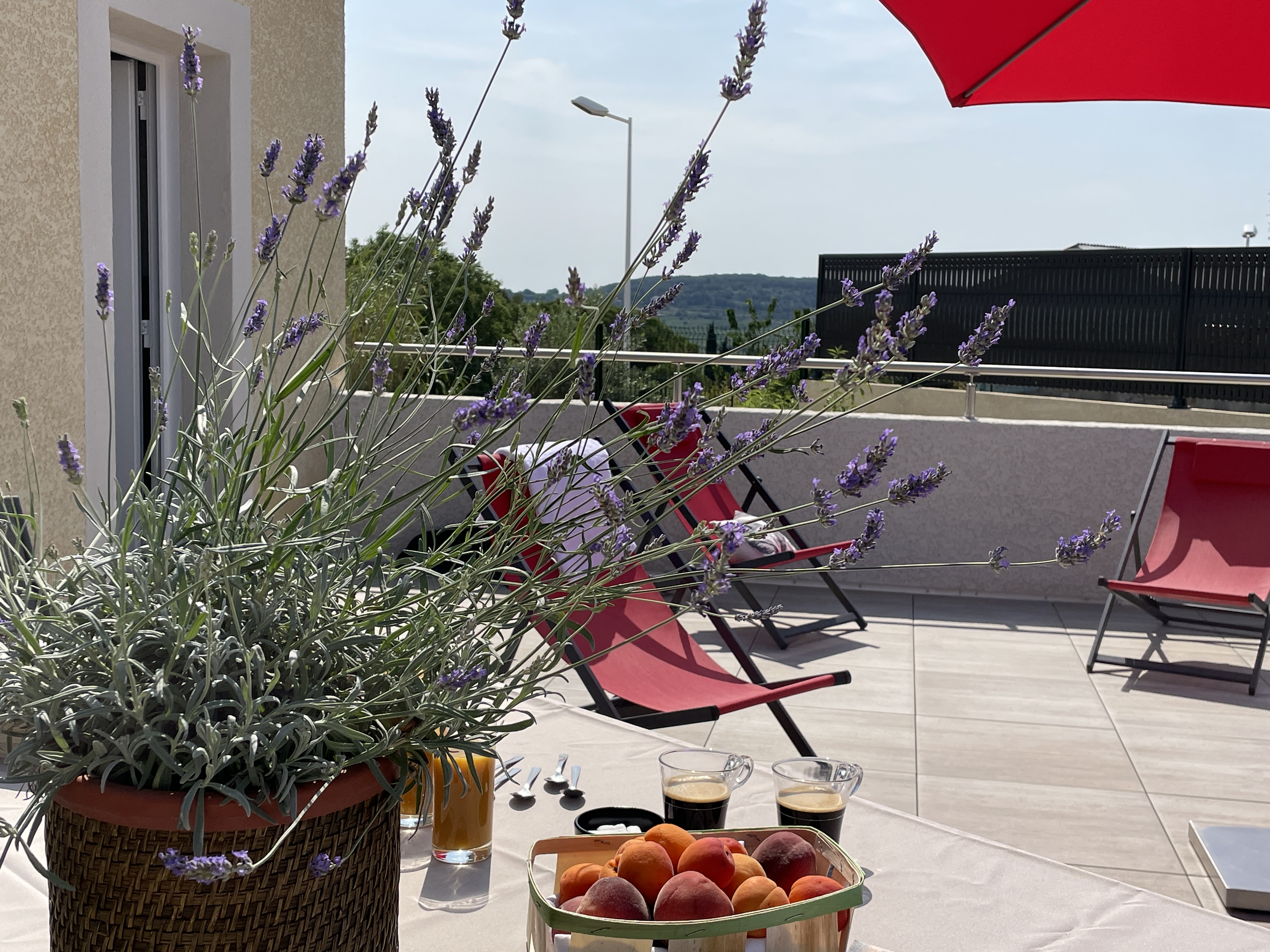 Valdesbruyeres_Location Olivier_Terrasse1